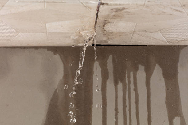 Professional Water Damage Restoration technician working in McDavid, FL